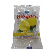 Освежитель NIAGARA в гибкой подвеске Citrus 1шт 1/40 фотография