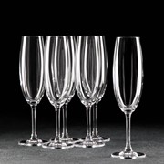 Набор бокалов для шампанского Sylvia, 220 мл, 6 шт фотография