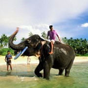 Роскошные путешествия Шри-Ланка