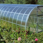 Теплица урожай ЭлитВН 3x6м из замкнутой трубы 25х25 мм + подарок фото