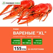 Раки вареные XL (80-100 гр) фото