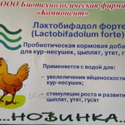Пробиотическая кормовая добавка для применения в птицеводстве Лактобифадол форте фото