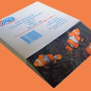 Дизайн листовок фото