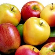 Яблоки оптом фото