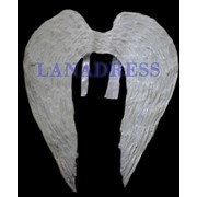 Самые большие белые крылья Ангела, 120 на 120 см. фото