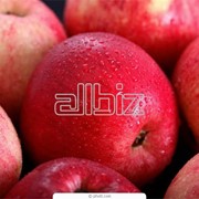 Яблоки Польские фото