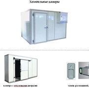 Холодильные камеры модульные быстросборные для торгово-складских помещений фото