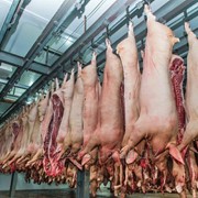 Свинина фото