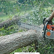 Бензопила STIHL фото