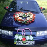 Украшения свадебных автомобилей. Житомирская область. фото