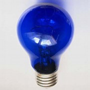 Лампа синяя А55 (100) 230-60 для рефлектора Ясное солнышко
