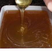 Мёд подсолнечный. фото