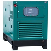 Газовый генератор REG G29-3-RE-LS фото
