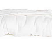 Подушка с шёлковым наполнителем 100% Малбери высшего сорта 50х70 в чехле сатин-жаккард