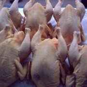 Мясо бройлеров фото