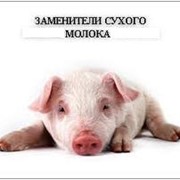 Заменитель молока для свиней и телят фото