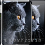 Чехол на iPad mini Красивый кот “3038c-27“ фотография