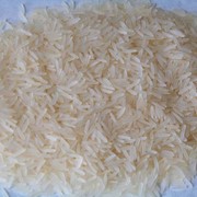Кызылординский рис фото
