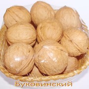 Саженцы грецкого ореха привитые Сорт Буковинский