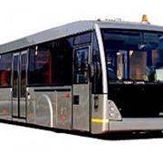 Автобус МАЗ-171075 для аэропорта фото