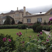 Услуги садовника. Благоустройство участка. фото