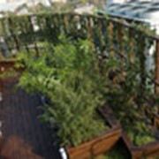 Сады на крыше фото