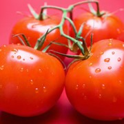 Овощи свежие. Помидоры, томаты свежие. фото