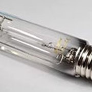 Лампа дуговая (натриевая типа ДнаТ) ДнаТ 400вольт 600Вт (Е40) «Агро» фото