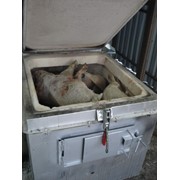 Утилизатор ветеринарных отходов фотография