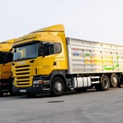 Перевозка зерновых по Украине от Логистик МТС автопарк 500 зерновозов