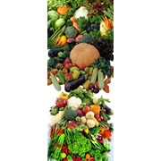 Овощи и плоды фото