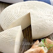 Козий сыр “Гасконский“ фото