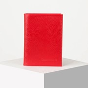 Обложка для автодокументов и паспорта, цвет красный фото