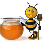 Мед пчелиный.Мед липовый. Мед, продукты пчеловодства, мед майский, мед цветочный, мед акация, мед липа, мед гречка. Прополис. Пчелиная пыльца. Маточное молоко. Пчелиный яд. Подмор (тело пчелы).