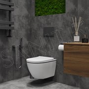 Подвесной унитаз Roxen Antares Black 530110-01B Rimless Soft Close фото