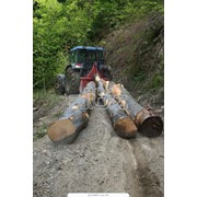 Услуги лесовоза фото