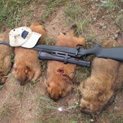 Установка оптических прицелов фото