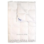 Одеяло пуховое кассетное Billerbeck Магнолия К-1 фото