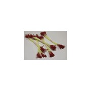Бордовые длинные тычинки Т040, 8 см, 25 шт фото