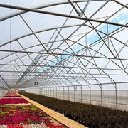 Теплицы фермерские, промышленные фото