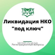 Ликвидация НКО "под ключ"