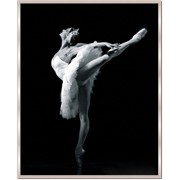 Гастроли коллектива Имперский русский балет фото