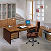Офисная мебель для руководителей Дипломат фотография