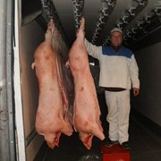 Свинина охлаждённая, Германия фото