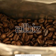 Кофе арабика