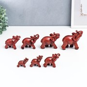 Сувенир полистоун под красное дерево набор 7 шт “Стадо слонов“ 9;7,5;7;6,5;5,3, 4,8,4 см фото