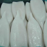 Морепродукты мороженые кальмары фотография