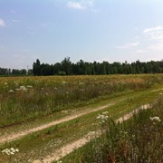 Дмитровка участки 11 соток,распродажа фото