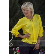 Женские рубашки Блуза Бантовка (481/ЖК)/ желтая фото