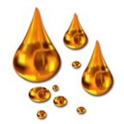 Проектирование технологических процессов для заводов по производству масла из семян масленичных культур фото